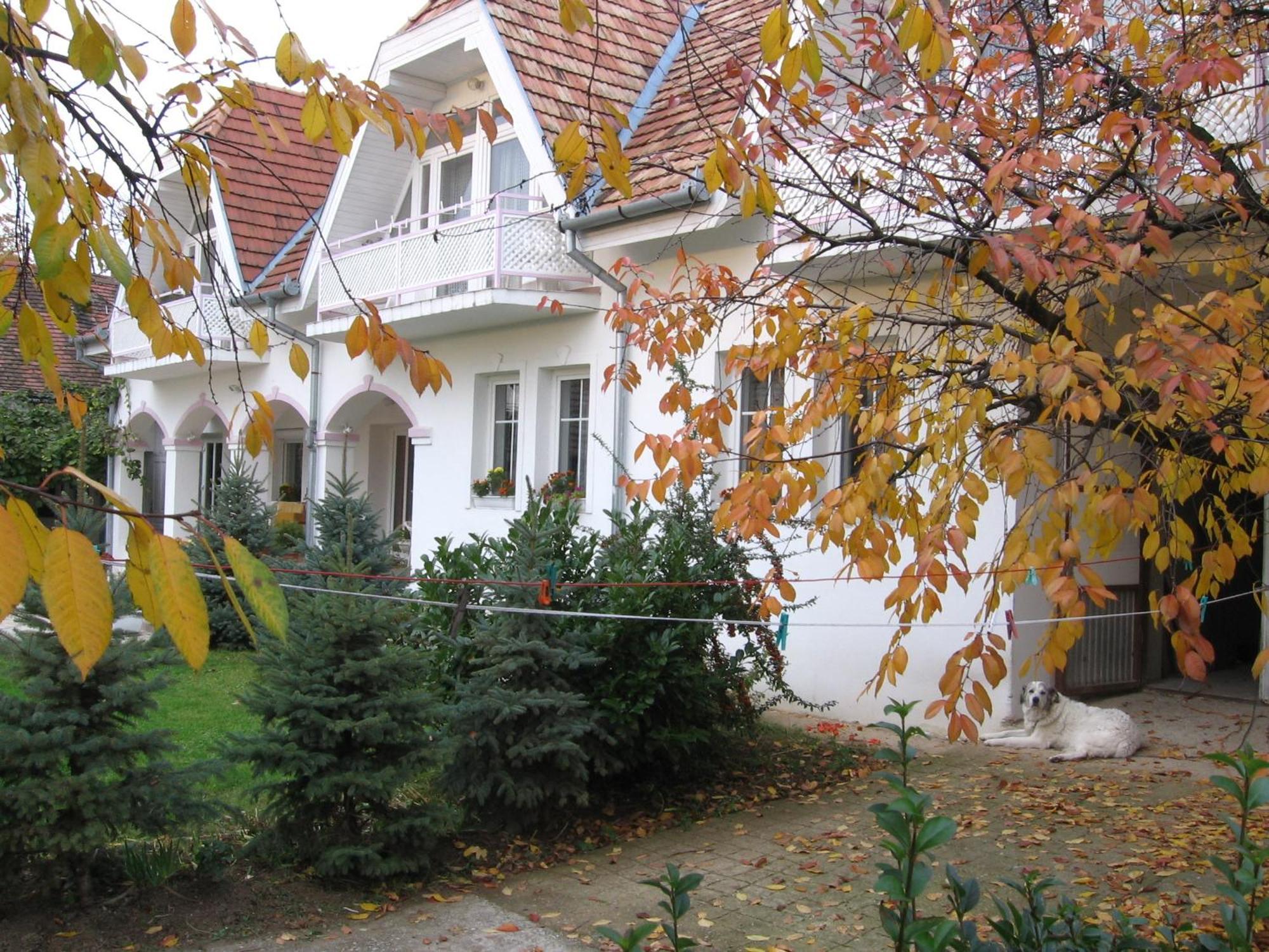 Pension Óvári Bük Exterior foto